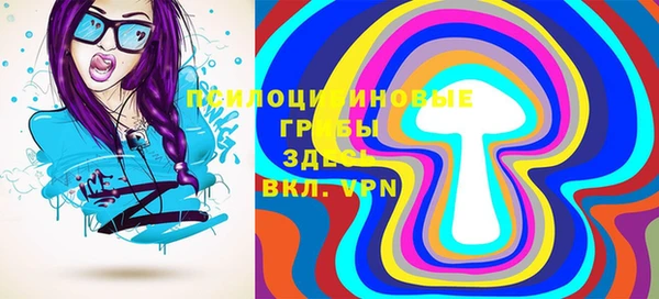 хмурый Верея