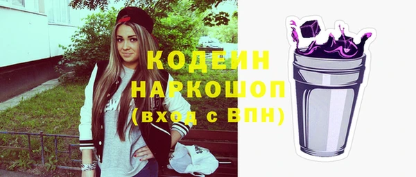 хмурый Верея