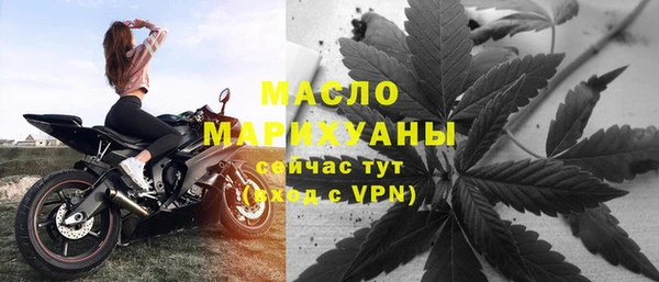 хмурый Верея